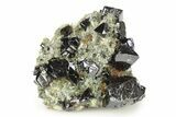 Gemmy Cassiterite Crystals on Quartz - Viloco Mine, Bolivia #246682-1